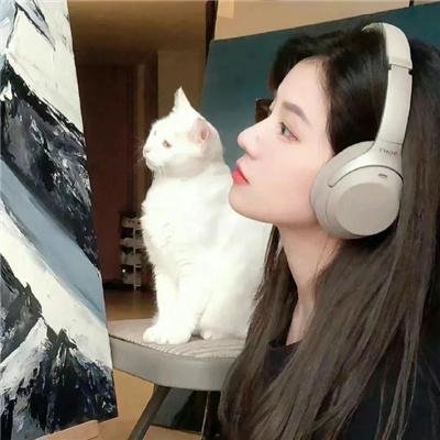 亲属关系